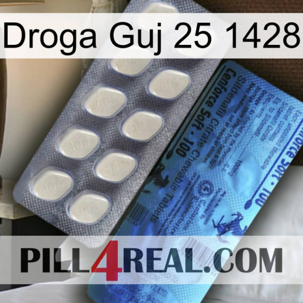 Guj Drug 25 1428 34.jpg